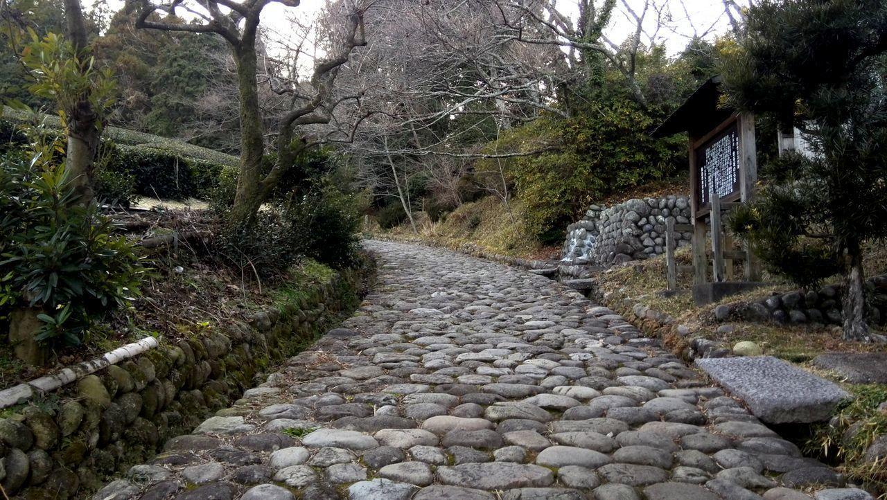 Jemsty Inn Hakone Ashinoko Dış mekan fotoğraf
